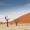 Deadvlei is a white clay pan located near the more famous salt pan of Sossusvlei, inside the Namib-N by Tjeerd Kruse