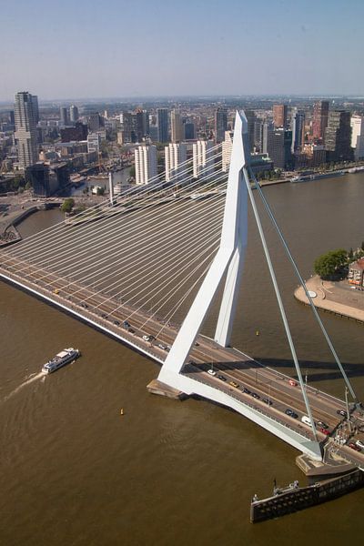 Erasmus bridge Rotterdam across the river Maas by David van der Kloos