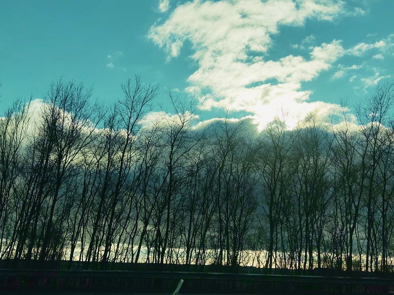 Winter by ReginaCaptures