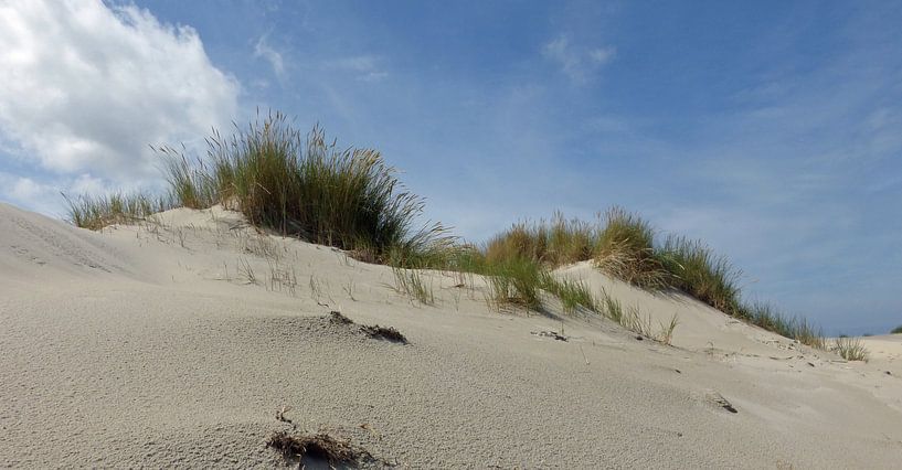 De duinen van Terschelling van Jessica Berendsen