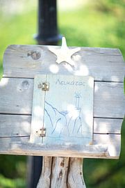 Coquille sur Sam Loman