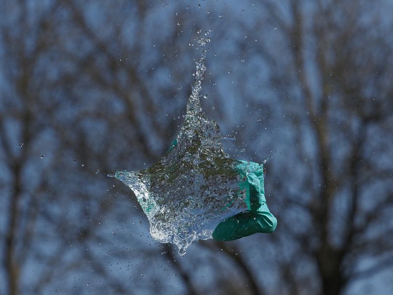 Splash by Christel Loman
