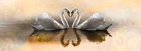 Swans