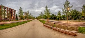 Greune Luiper Mestreech - De Groene Loper Maastricht