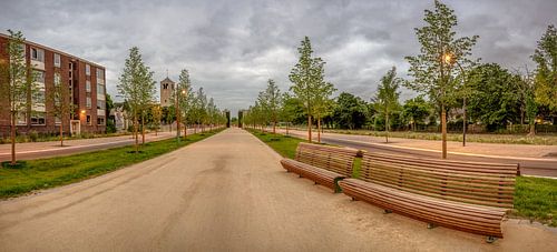 Greune Luiper Mestreech - De Groene Loper Maastricht by Teun Ruijters