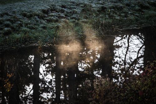 Nebel im ersten Morgenlicht
