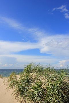 Schöne Ostseedünen von Ostsee Bilder