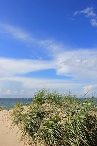 Beautiful Baltic Sea dunes