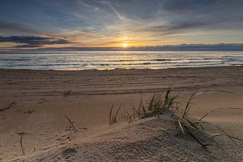 Tuft of hellgrass on a mound of sand on the North Sea beach by Bram Lubbers