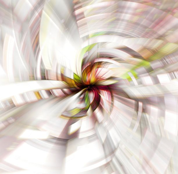 Twirl Magnolia by Klaartje Majoor