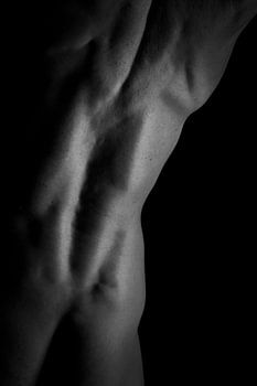 Il a l'épine dorsale!