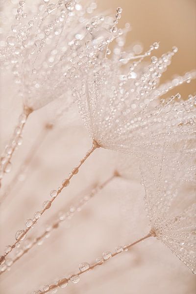 Soft and calm: A little piece of nature in your home (in pastel shades) by Marjolijn van den Berg