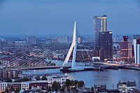 Erasmus Bridge - Rotterdam