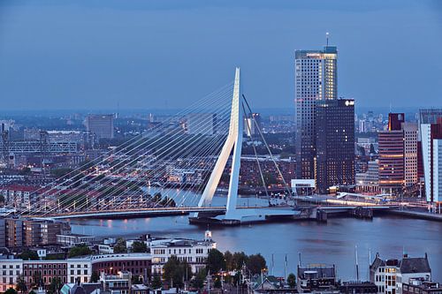 Erasmusbrücke - Rotterdam