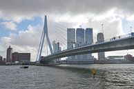 Erasmusbrug, Rotterdam van Peter Apers thumbnail