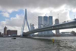 Erasmusbrücke, Rotterdam