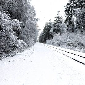 Spuren im Schnee von Fotomakerij