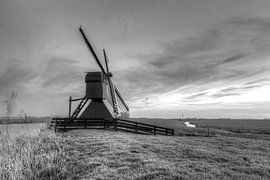 Spinnekop molen van Jaap Terpstra