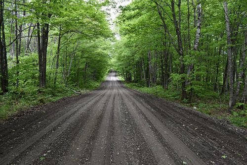 Eine verlassene Straße im Sommer