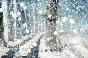 Ein freundlicher Schneesturm von Lars van de Goor