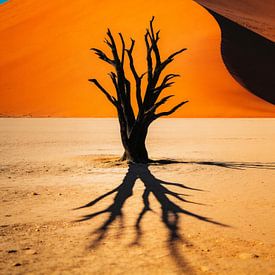 Einsamer Baum in goldener Wüstendüne von But First Framing