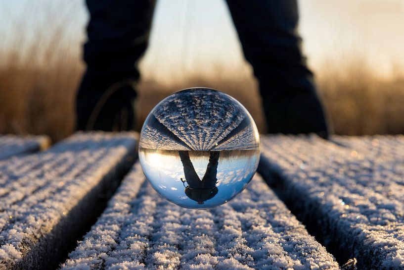 Hardenbergerveen von Frederik van der Veer