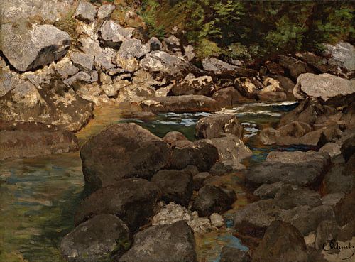Carl Schuch~Ruisseau de montagne avec rochers