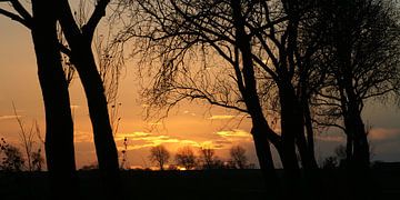Soleil du soir au-dessus des champs de Zeeland bordés d'arbres d'hiver sur Gert van Santen