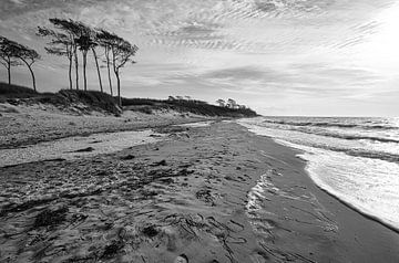 Op het strand van de Baltische Zee in zwart-wit van Martin Köbsch