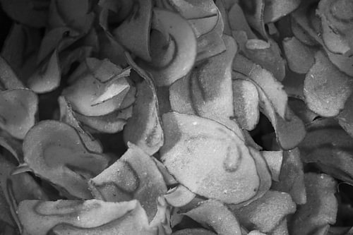 Curved Thin Slice Raw Chips Texture Black and White