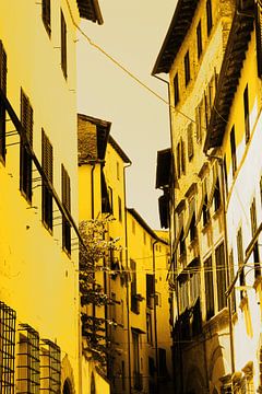 Toscane Gouden Lucca Italië van Hendrik-Jan Kornelis
