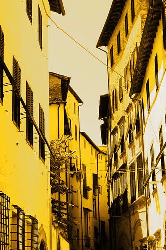 Toscane Gouden Lucca Italië
