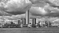 Skyline Rotterdam Westerkade vanaf Katendrecht (zwart wit) van Rick Van der Poorten thumbnail