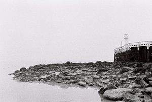 Die Seebrücke im Nebel.