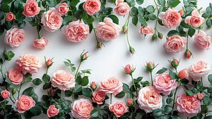Rosen