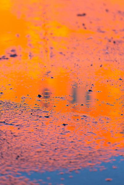 Oranje reflectie par Sander van der Werf