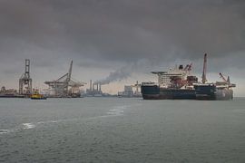 Esprit pionnier sur Esmeralda holman