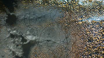 Wak by Top down - Maarten Kempen