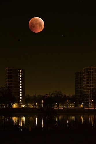 Bloedmaan boven Den Bosch