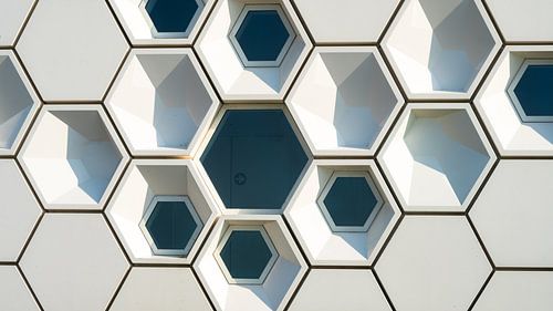 Honingraat architectuur modern museumgebouw