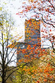 Das „Inktpot“ in Utrecht mit knospenden Bäumen in Frühlingsfarben (unscharfe Blätter)