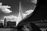 Rotterdam Erasmus brug van Mario Creanza thumbnail