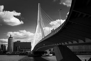Rotterdam Erasmusbrücke von Mario Creanza