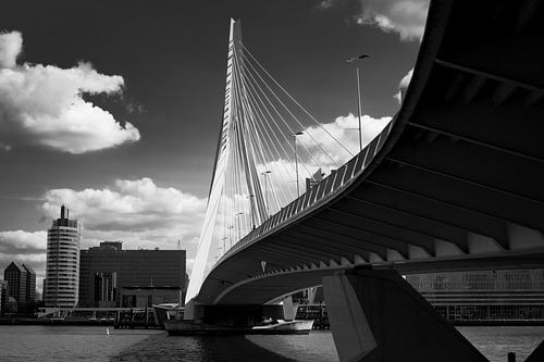 Rotterdam Erasmus brug