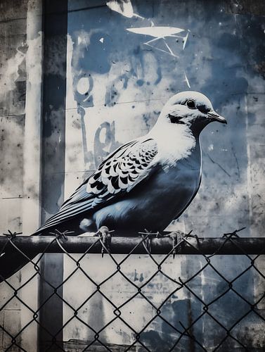 Duif in het stadsleven