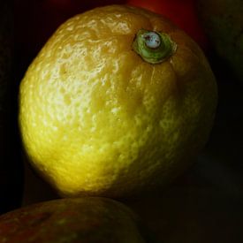 Lemon by Hans Heemsbergen