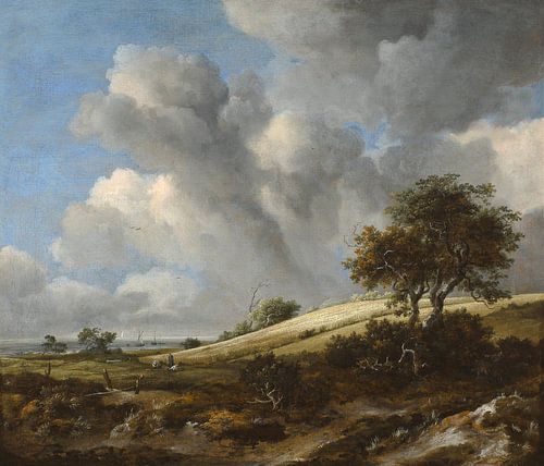 Een maïsveld met de Zuiderzee op de achtergrond, Jacob Isaacksz. van Ruisdael. van Ruisdael.