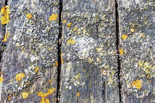 Landelijke Rustieke Houten Planken