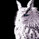 White Owl par Tanja Riedel Aperçu