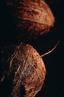Coconut